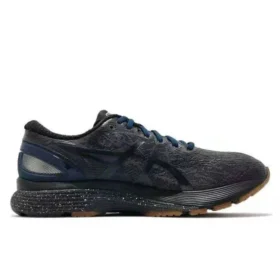 Gel-Nimbus 21 Winterized “Graphite Grey”