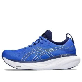 Gel-Nimbus 25 «Illusion Blue Pure Silver»